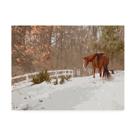 Monte Nagler 'Horse In The Snow Milford Michigan' Canvas Art,14x19